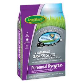 GT 7LB Peren Rye Seed