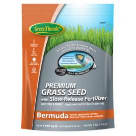 GT LB Bermuda Seed
