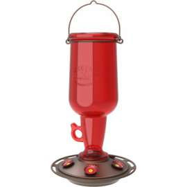 Jug Hummingbird Feeder