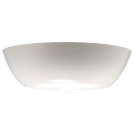300Lum LED Ceil Light
