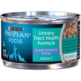 Pro 3OZ Fish Cat Food