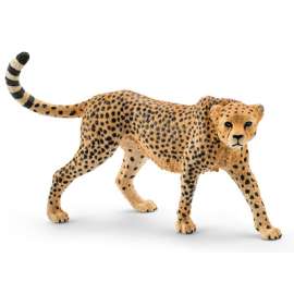 Tan Female Cheetah