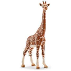 Tan Female Giraffe