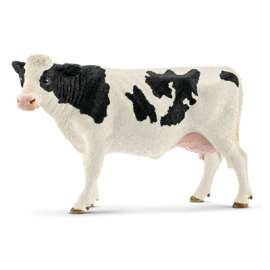 BLK/WHT Holstein Cow