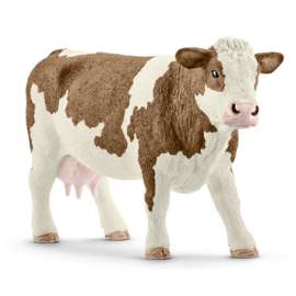 BRN/WHT Simmental Cow