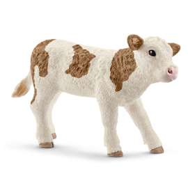 BRN/WHT Simmental Calf