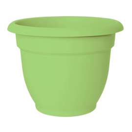 8" Honey Ariana Planter
