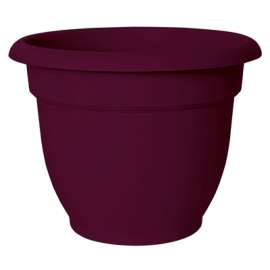 8" Fruit Ariana Planter