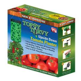 TopsyTurvy Tomato Plant
