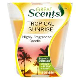 3OZ Trop Sun Candle