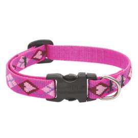 1/2x10-16 PL Dog Collar
