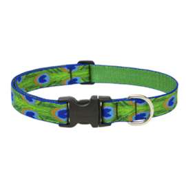 3/4x13-22 TF Dog Collar