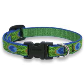 1/2x10-16 TF Dog Collar