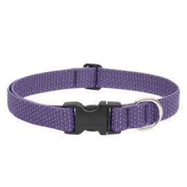 1x12-20 Lil Dog Collar