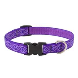 3/4x13-22 JR Dog Collar
