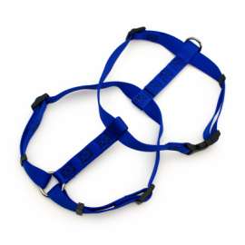 1x28-36 BLU Dog Harness