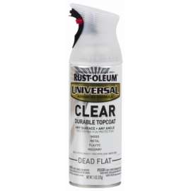 12OZ CLR FLT Spr Paint