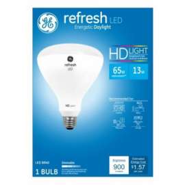 GE13W Day BR40 Ref Bulb
