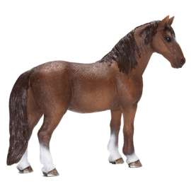 Tenn Plas Walker Mare