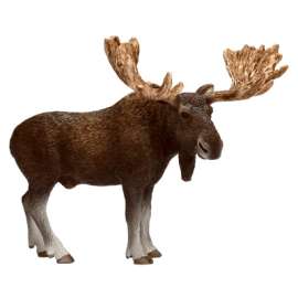 BRN Plas Moose Bull