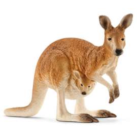 BRN Kangaroo