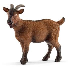 BRN Goat