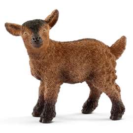 BRN Goat Kid