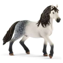 WHT/BLK Andalusian Mare