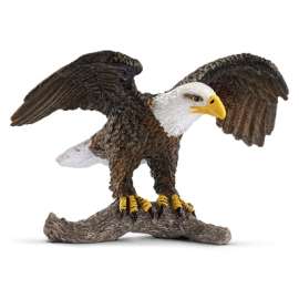BRN Bald Eagle