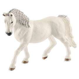 WHT Lipizzaner Mare