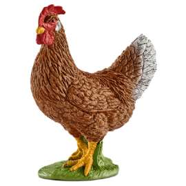 BRN Hen
