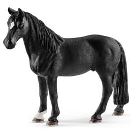 BRN Tenn Walker Gelding