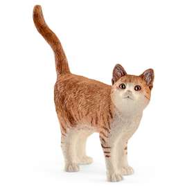 BRN/WHT Cat