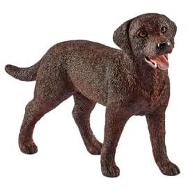 Fem Labrador Retriever