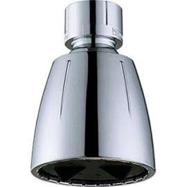 HP CHR ADJ SHWR Head