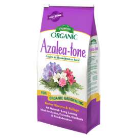4LB Azalea Tone