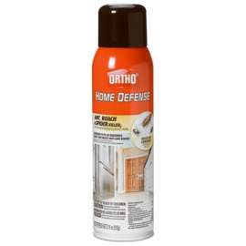 18OZ Ant/Roach Killer