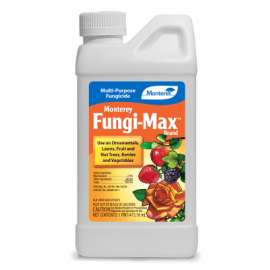 16OZ MP Fungicide