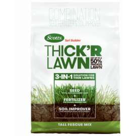 40LB TB Fescue Seed