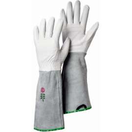 Ladies SM WHT GDN Glove