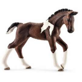 BRN/WHT Trakehner Foal