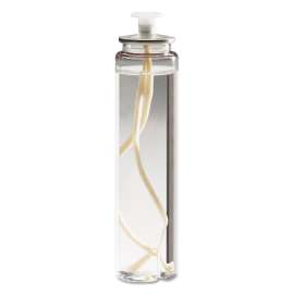 Soft Light Liquid Wax, 74g, Clear, 29 Hour, 36/Carton