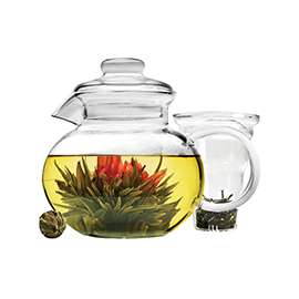 Primula Blossom PTA-3940 Teapot, 40 oz Capacity, Borosilicate Glass, Clear
