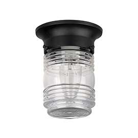 CANARM IOL105BK Outdoor Light, Incandescent Lamp, Aluminum Fixture, Black