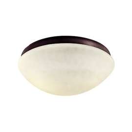 Hunter 22057 Ceiling Fan Light Kit, Bronze