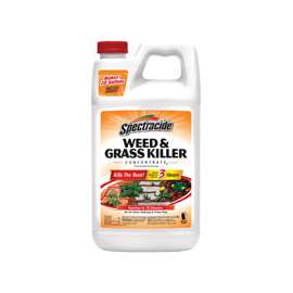 Spectracide HG-96451 Weed and Grass Killer, Liquid, Amber, 64 oz