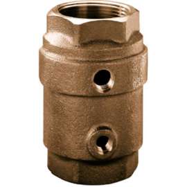 1-1/4"CNTRL Check Valve