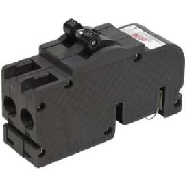 100A 2Pol ZinscoBreaker