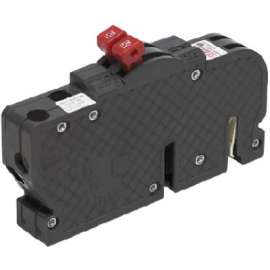 20A 2SP Zinsco Breaker