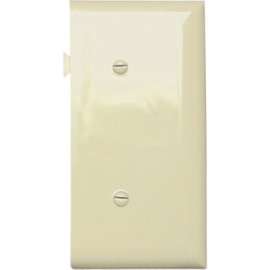 IVY BLNK End Sect Plate